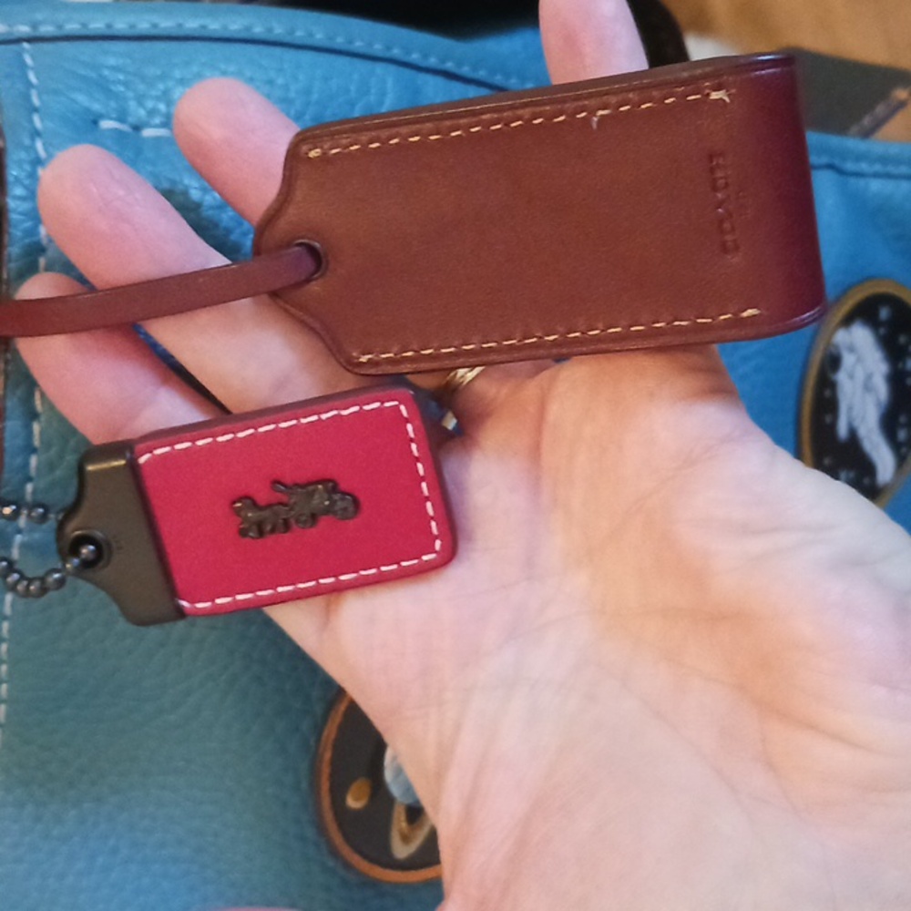 RARE Coach X Nasa Rogue 30 - Picture 7 of 16